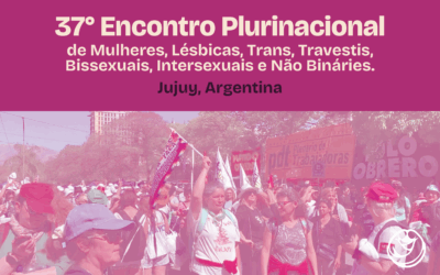 Contra o fascismo: organização feminista Encontro Plurinacional da Argentina